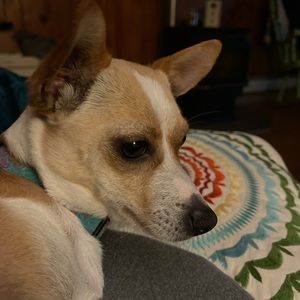 Meet your Posher, Allison